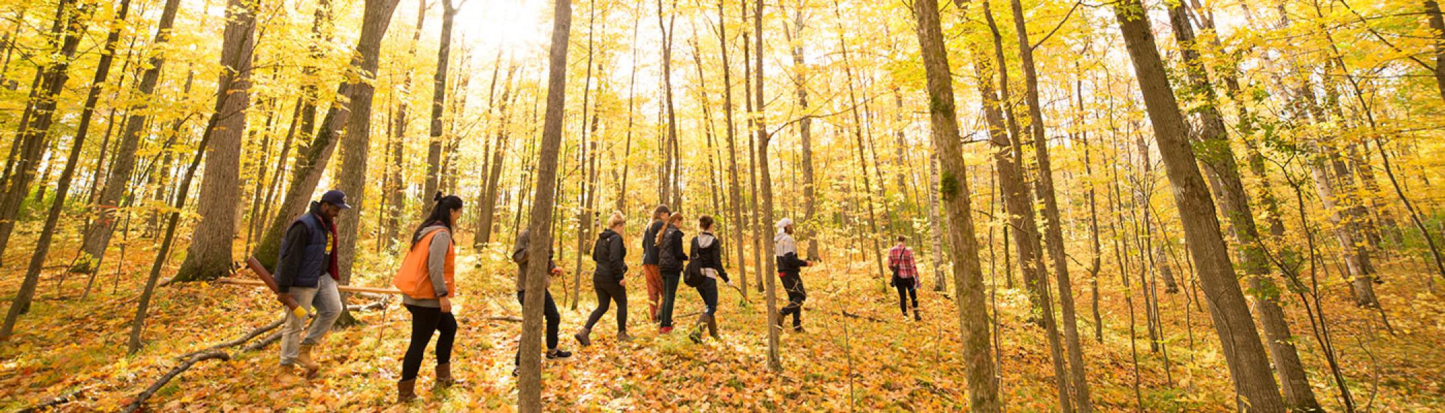 Students walking through the drumlin's woods