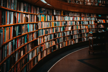 Library shelf filled with books