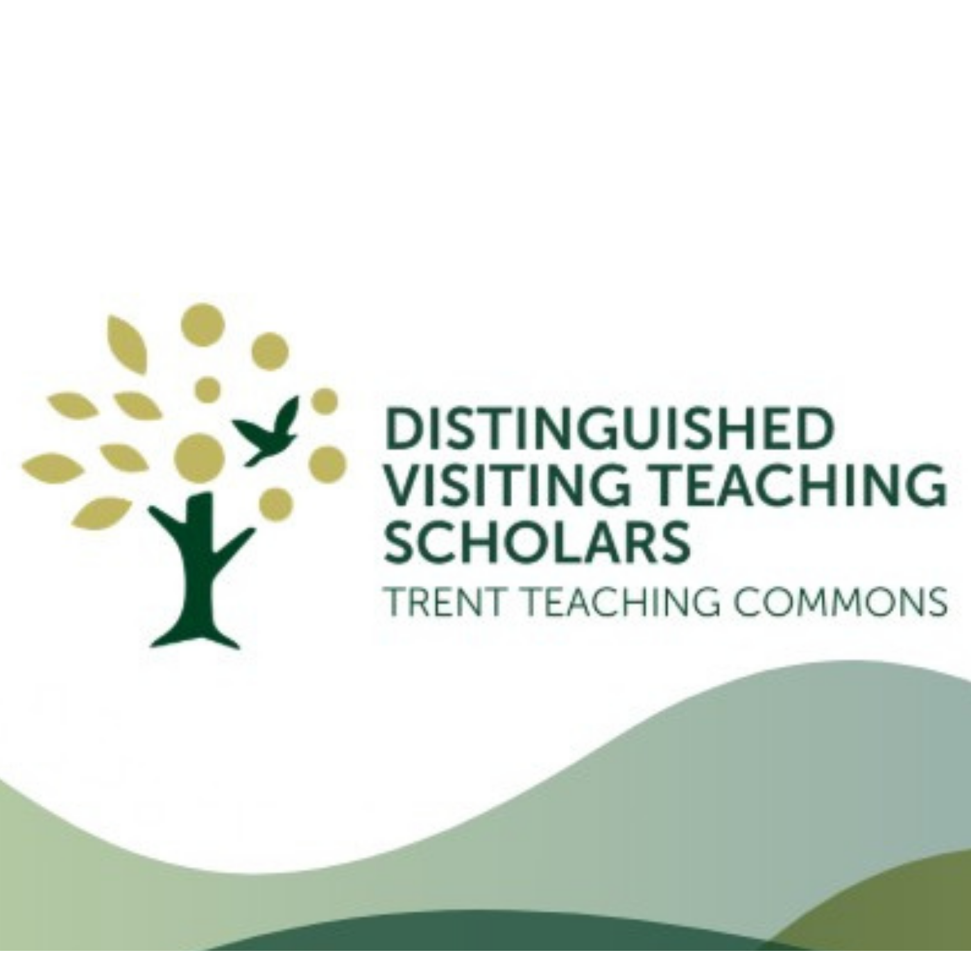 DVTS Logo