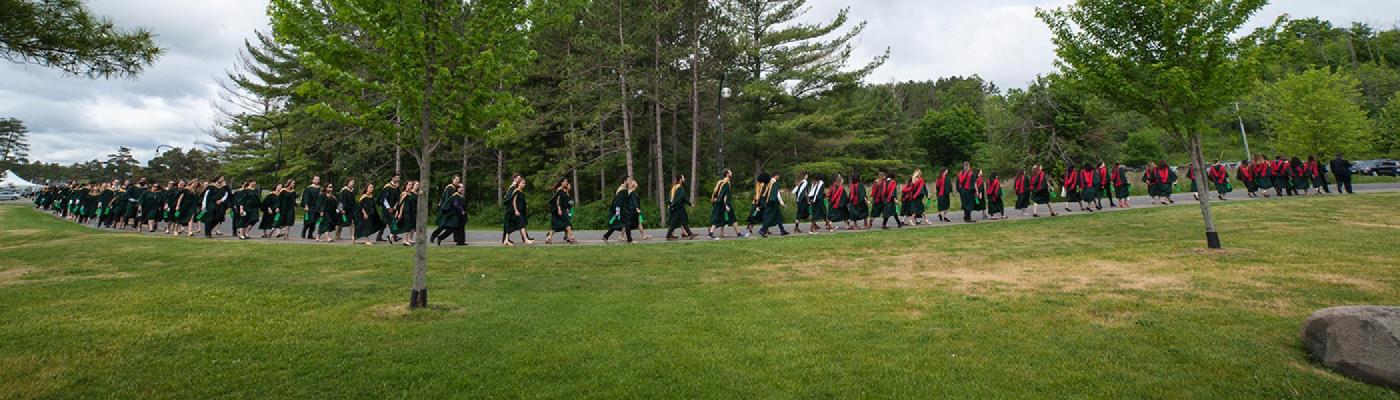 Group of students in convocation gowns walking across a field of grass in front of a row of evergreen trees in the summer sun