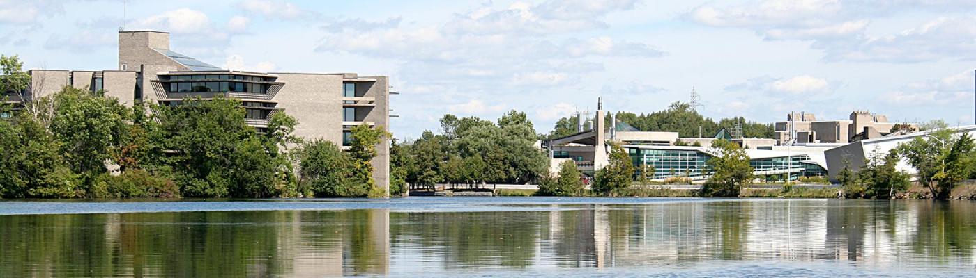 Bata Library and Faryon bridge