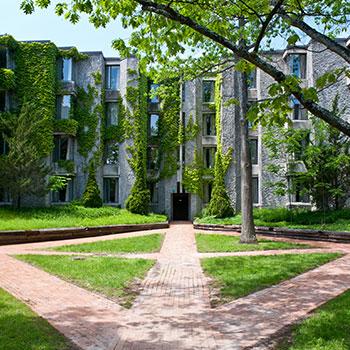 Champlain College covered in greenery