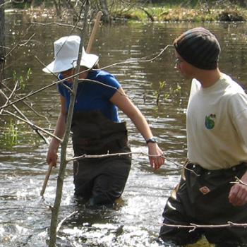 Two students in hip-waders in the water