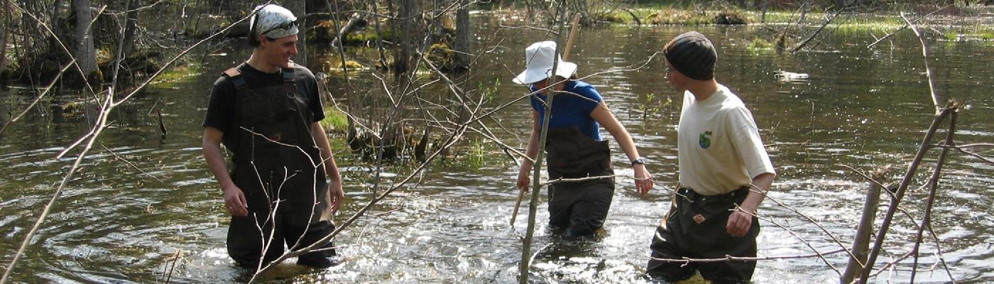 Three students in hip-waders in the water